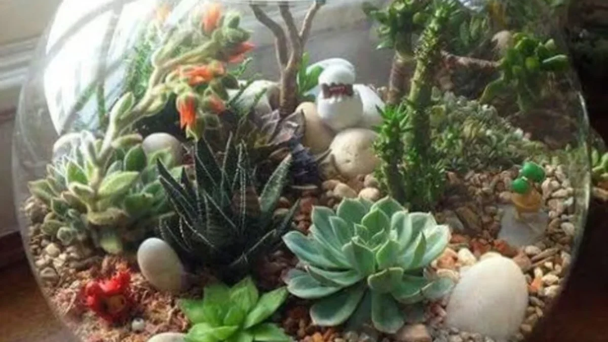 Segarkan Ruangan dengan Tanaman Hias dalam Wadah Kecil, 5 Pilihan Tanaman Mudah untuk Terrarium