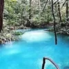 Mengungkap Pesona Alam Kalibiru, Surga Kecil di Papua Barat yang Keindahannya Sama dengan Raja Ampat