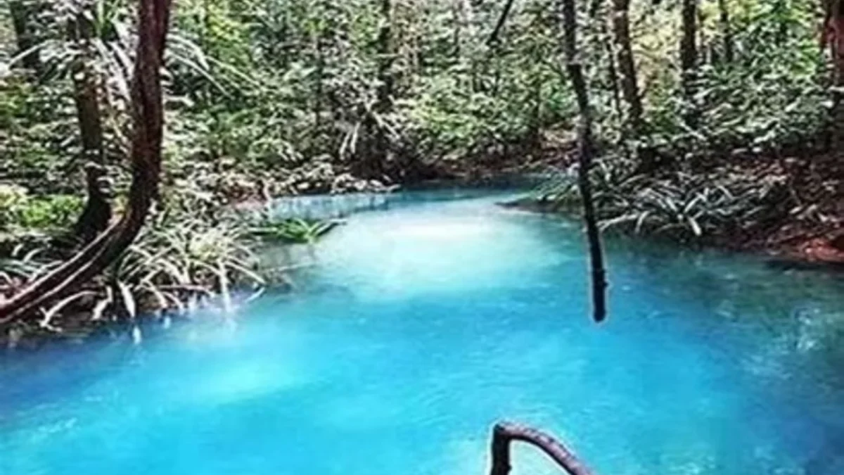 Mengungkap Pesona Alam Kalibiru, Surga Kecil di Papua Barat yang Keindahannya Sama dengan Raja Ampat