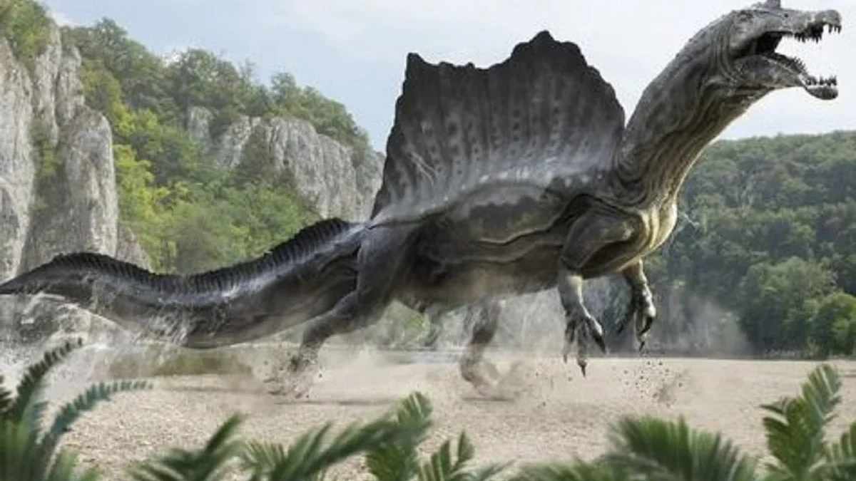 5 Fakta Unik Spinosauridae,Dinosaurus yang Memiliki Tubuh Mencapai 18 Meter