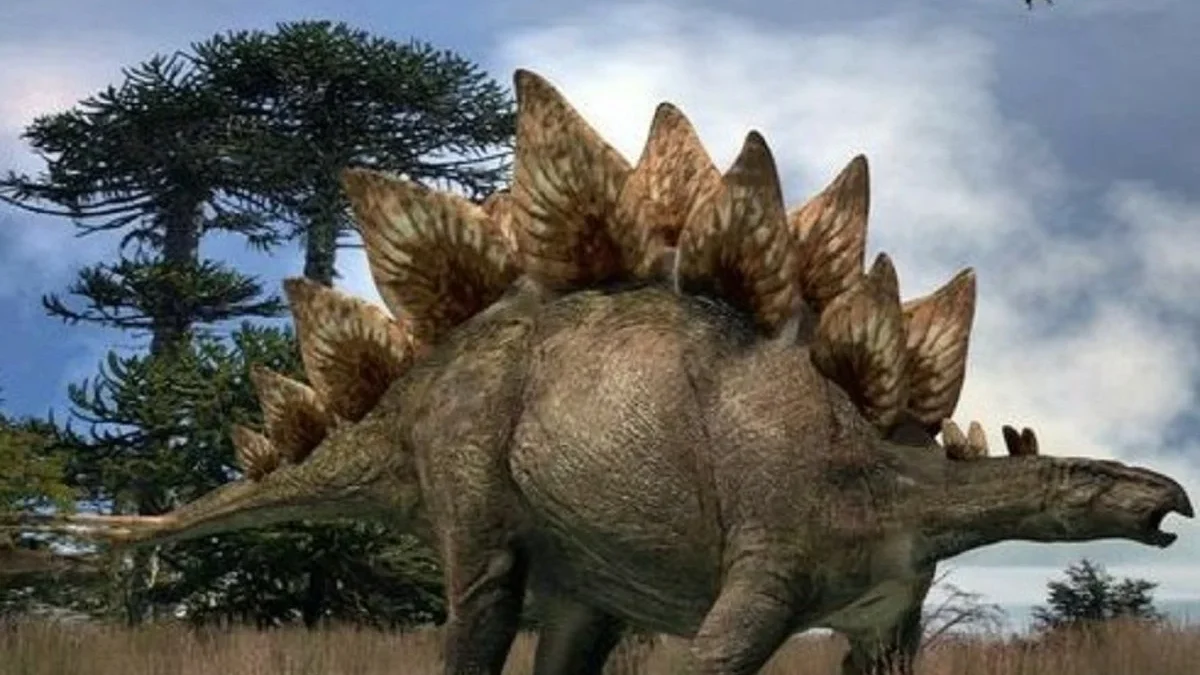 5 Fakta Mengenai Stegosaurus, Dinosaurus yang Memiliki Tubuh Unik 