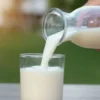 Manfaat Minum Susu Sebelum Tidur, Biar Tidur Nyenyak