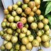 Mengenal Buah Menteng, Buah lokal Indonesia yang kian semakin Langka