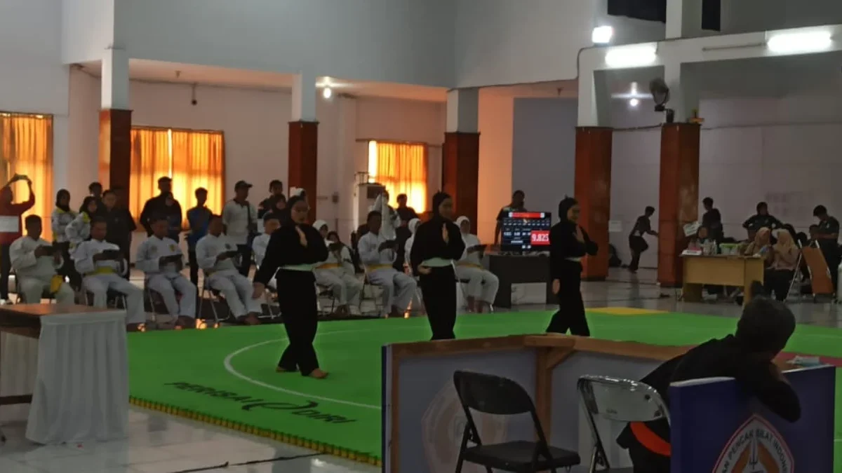 pencak silat popwilda 2024