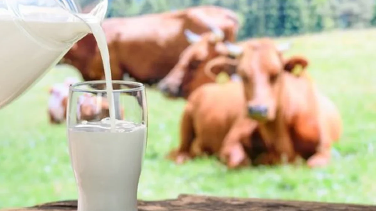 Susu UHT atau Susu Pasteurisasi, Mana yang Lebih Baik?