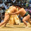 5 Fakta Menarik Tentang Olahraga Sumo yang Ternyata Tidak Harus Berbadan Gempal