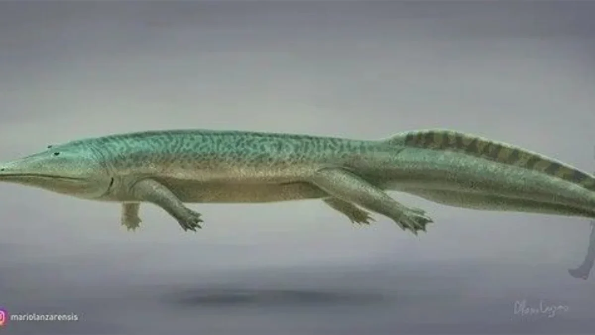 Dakosaurus Monster Penghuni Laut Prasejarah 