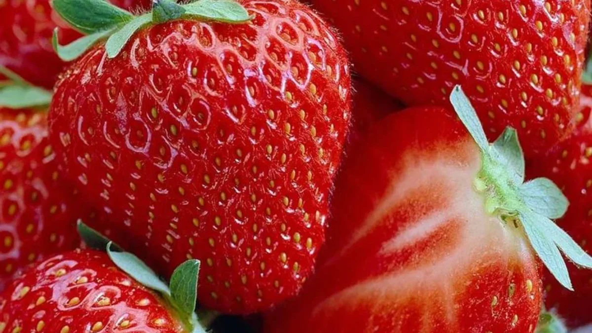 Siap-siap Ketagihan! Berikut 10 Jenis Strawberry yang Super Manis dan Menggoda