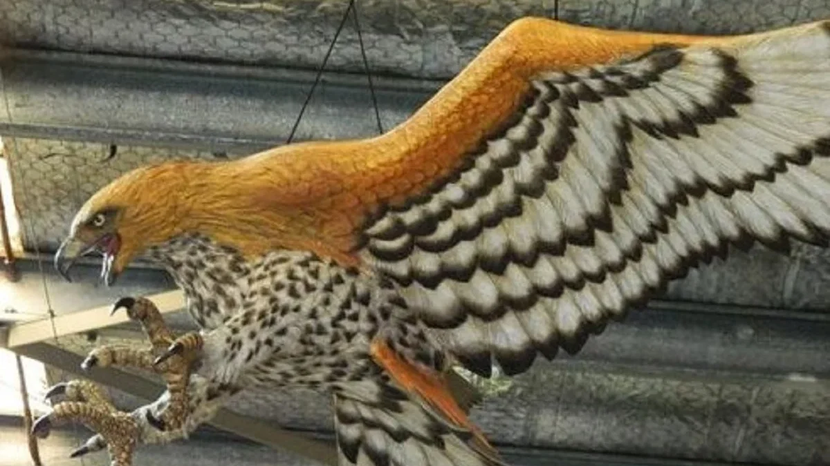 Bisa Membawa Manusia Terbang, 5 Fakta Menarik Burung Elang Haast, Sang Burung Predator Raksasa 