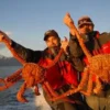 Mengapa Mahal ?, Inilah Alasannya Kenapa Harga Kepiting Alaska Sangat Mahal, Berikut Adalah Penjelasannya 