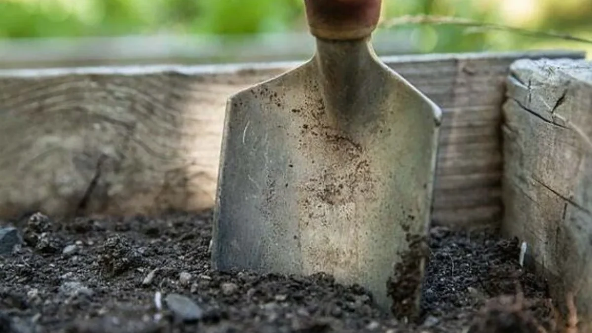 Perbedaan Pupuk Makro dan Mikro bagi Pertumbuhan Tanaman agar Tetap Sehat dan Subur