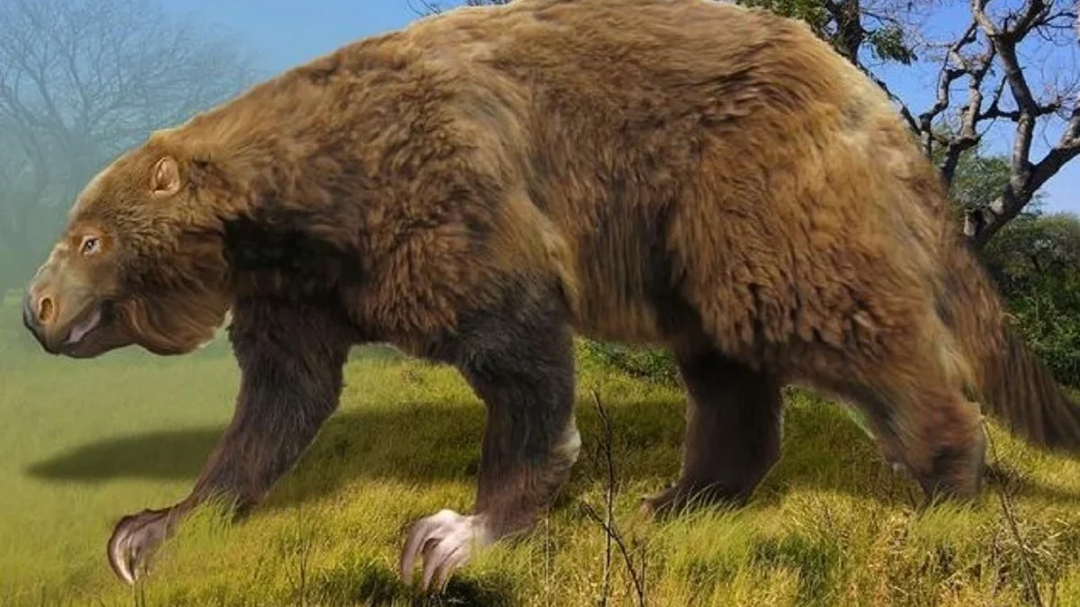 Ukuran Tubuh yang Raksasa, 5 Fakta Menengenai Tentang Megatherium, Nenek Moyang Kukang Modern 