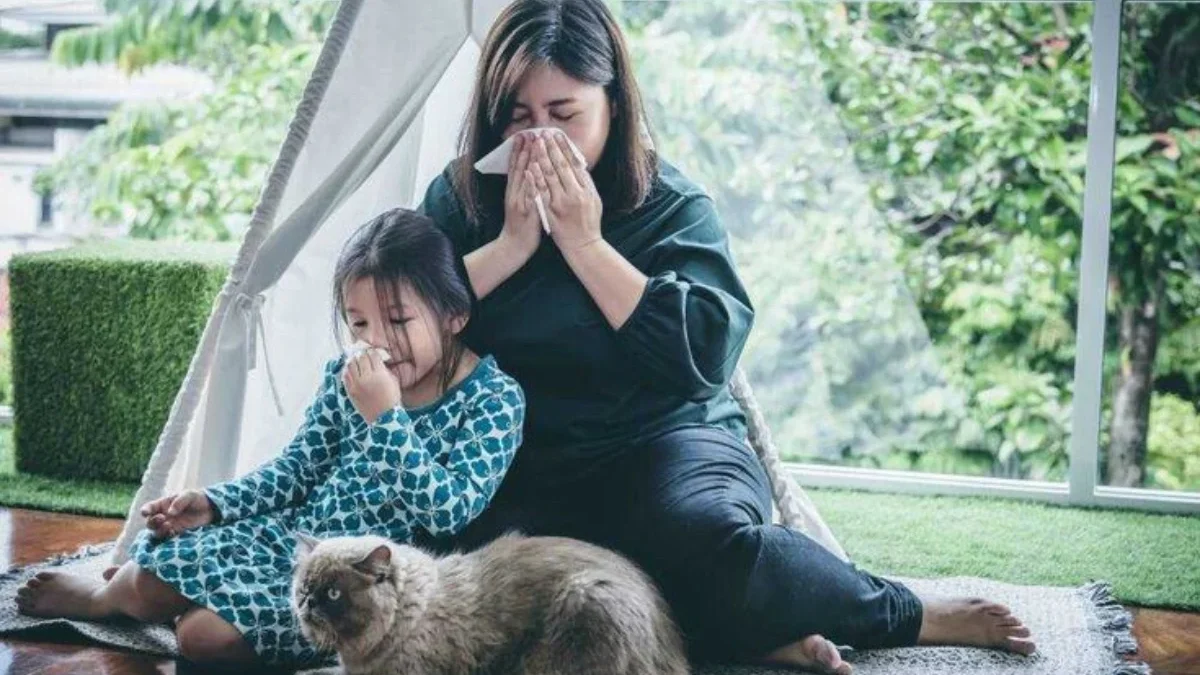 Ampuh Banget! Begini 10 Cara Menghilangkan Bau Pipis Kucing di Lantai