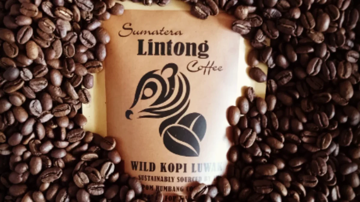 Kopi Lintong