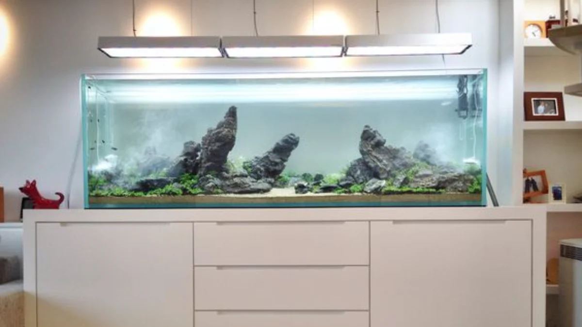 Meja Aquarium Minimalis yang Dapat Memperindah Ruang dengan Sentuhan Sederhana