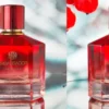 Parfum Terbaik yang Memiliki Aroma Sempurna untuk Anda dan Murah, Kapan Lagi Coba?