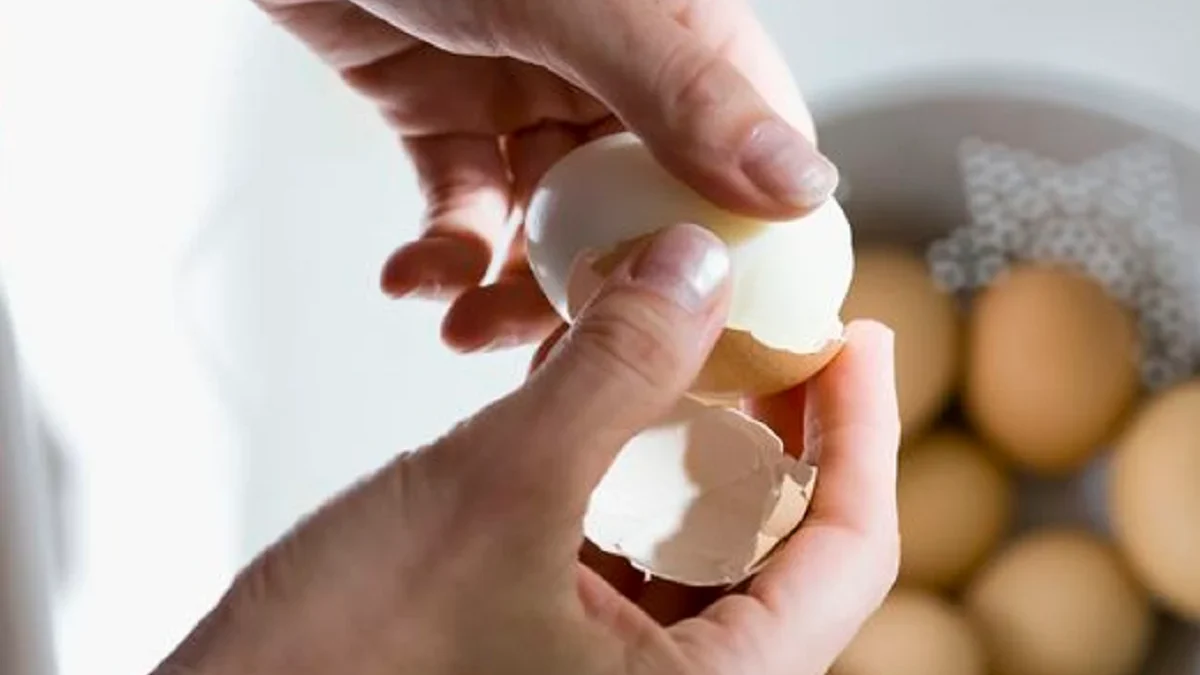 Hati-hati! Kenali Efek Samping Makan Telur Terlalu Banyak, Berapa Batas Aman?