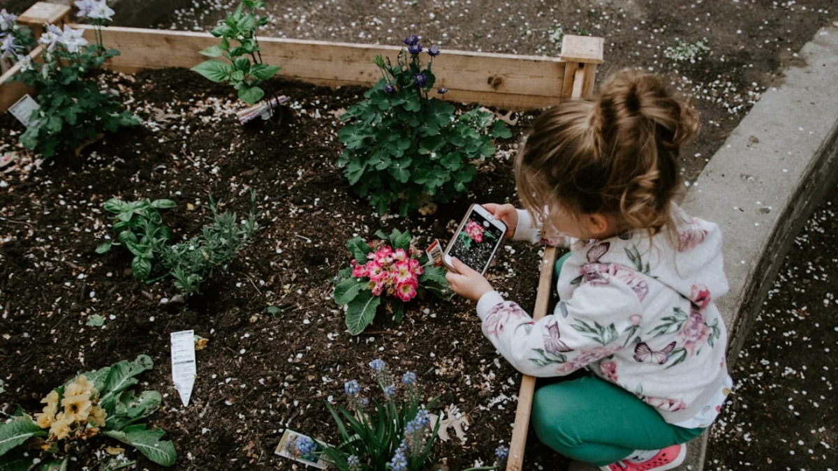 Ide dan Tips untuk Menciptakan Kebun Minimalis Depan Rumah dengan Ruang Terbatas