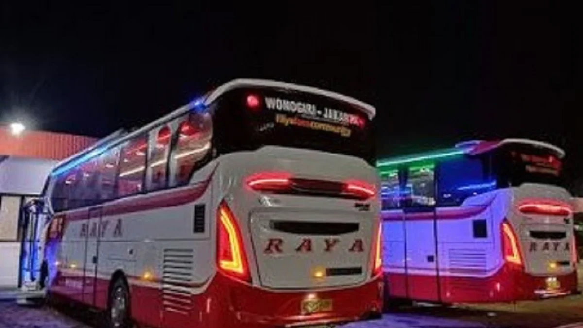 6 Bus ternyaman di Indonesia dengan Fasilitas terbaik yang Bisa Kamu Coba Ketika Melakukan Perjalanan Jauh