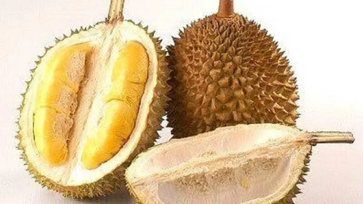 5 Durian Dengan Harga Termahal dan Memiliki Harga yang Sangat Fantastis, Apakah Ada yang Ingin Mencobanya ? 