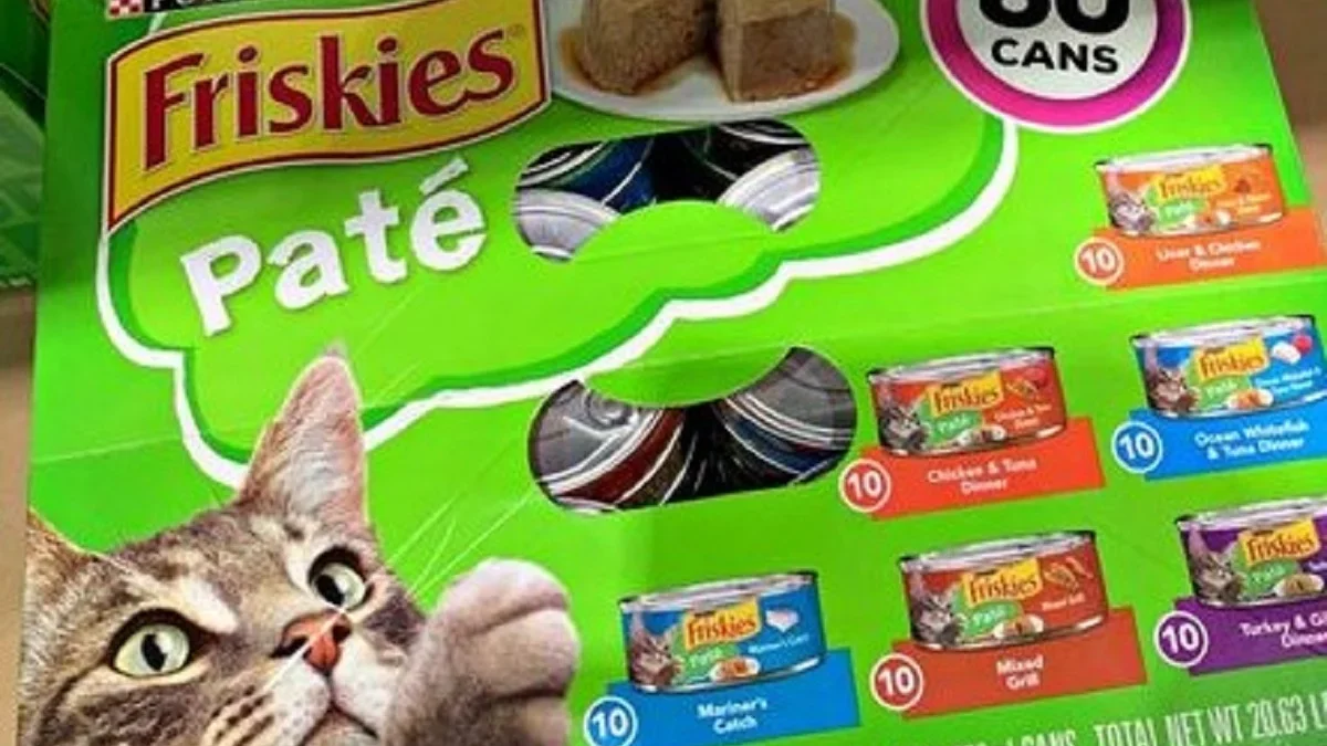 Rekomendasi Makanan Kucing Murah Namun Berkualitas, Agar Kucing Selalu Sehat dan aktif