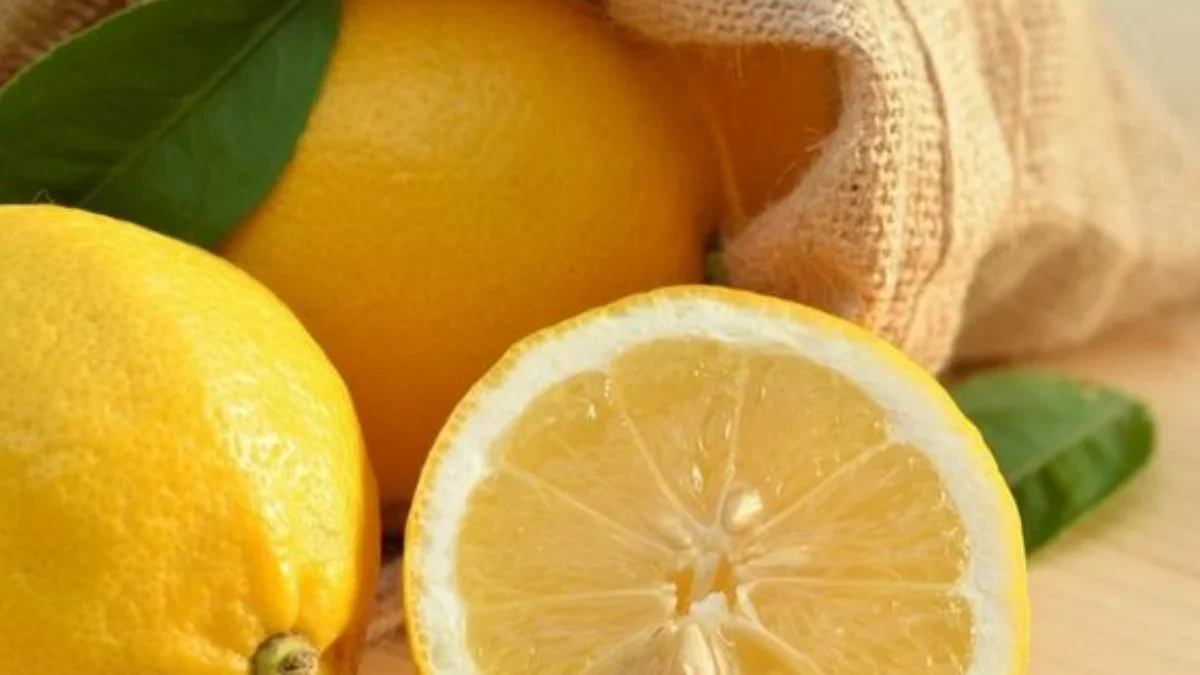 5 Manfaat Lemon Bagi Kesehatan, Salah Satunya Dapat Cegah Batu Ginjal