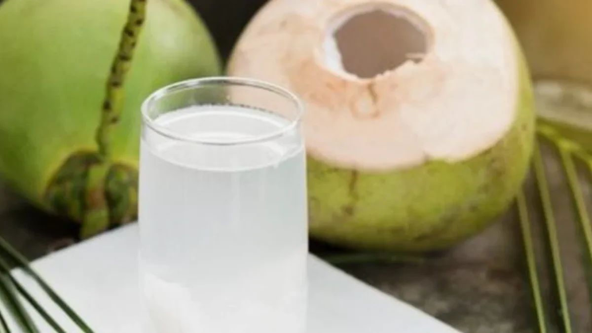 5 Tips Minum Air Kelapa untuk Pangkas Berat Badan, Auto Langsing!