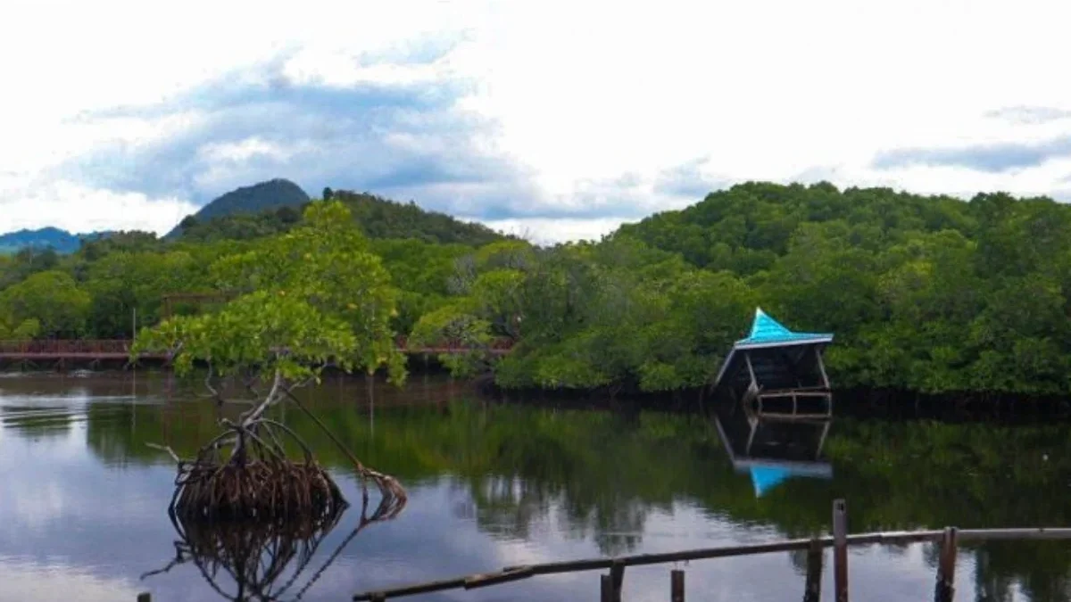 Isu Lingkungan di Papua