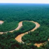 10 Sungai Terpanjang di Dunia yang Jarang Diketahui, Nomer 1 Ada Sungai Amazon!