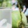 Benarkah Minum Air Kelapa Bikin Langsing? Simak Ulasanya!