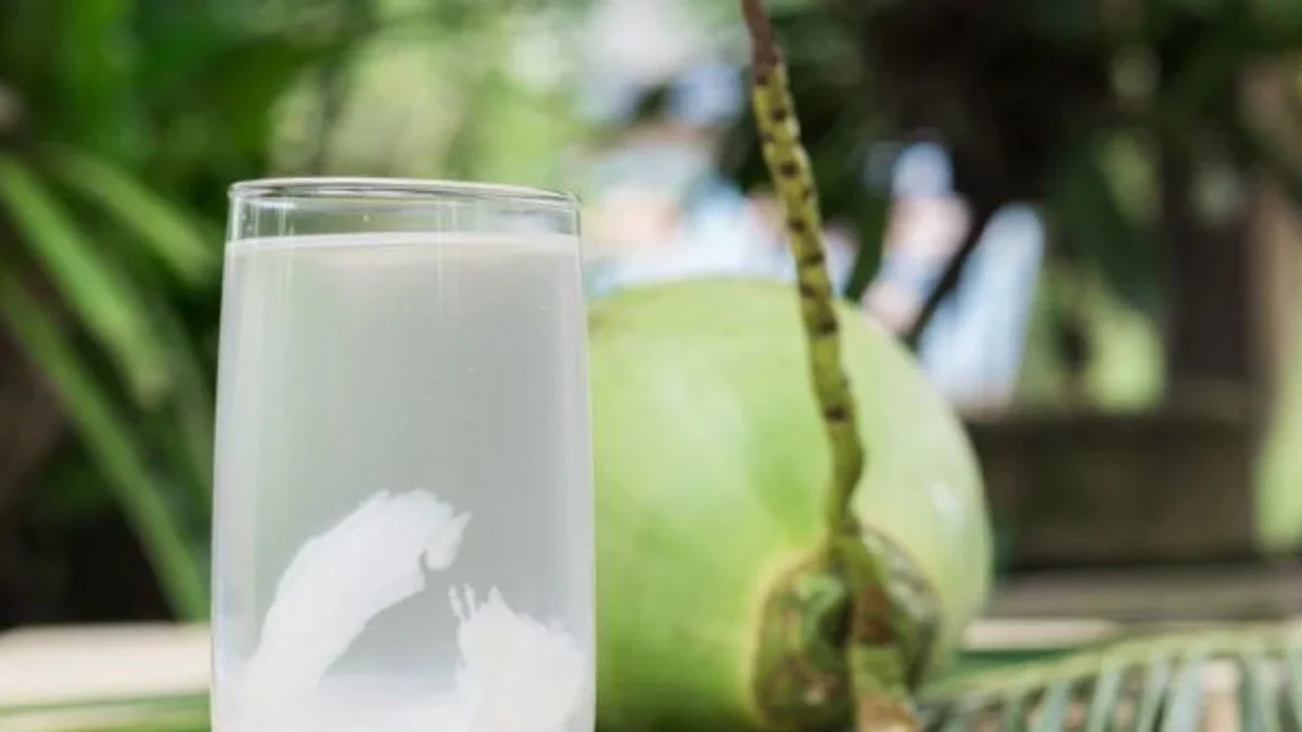 Benarkah Minum Air Kelapa Bikin Langsing? Simak Ulasanya!