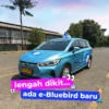 Siapa Sebenarnya Pemilik Blue Bird Pertama? Temukan Jawabannya!