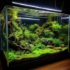 Aquascape Menghijau, 5 Tanaman Aquascape yang Sangat Cantik dan Membuat Aquarium Semakin Indah 