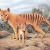 Sayang Telah Punah, 5 Fakta Tentang Harimau Tasmania, Hewan Marsupial yang Sudah Punah 