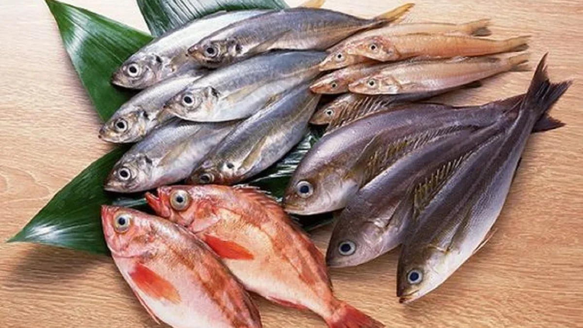 Bisa Untuk Menu Harian, 3  Resep Olahan Ikan Laut yang Sangat Enak 