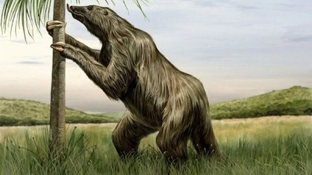 5 Fakta Menakjubkan Tentang Megatherium, Nenek Moyang Kukang Modern 