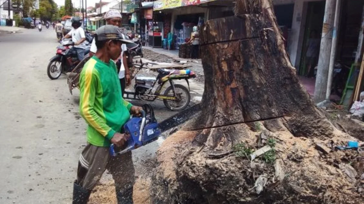 Mengungkap Makna di Balik Mimpi Melihat Orang Memotong Kayu