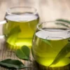 Panduan Minum Teh Hijau, Cara Tepat untuk Mendapatkan Manfaat Penurunan Berat Badan