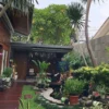 Inspirasi Desain Taman Belakang Rumah Type 36 yang Aesthetic dan Menyegarkan ala Instagrammer