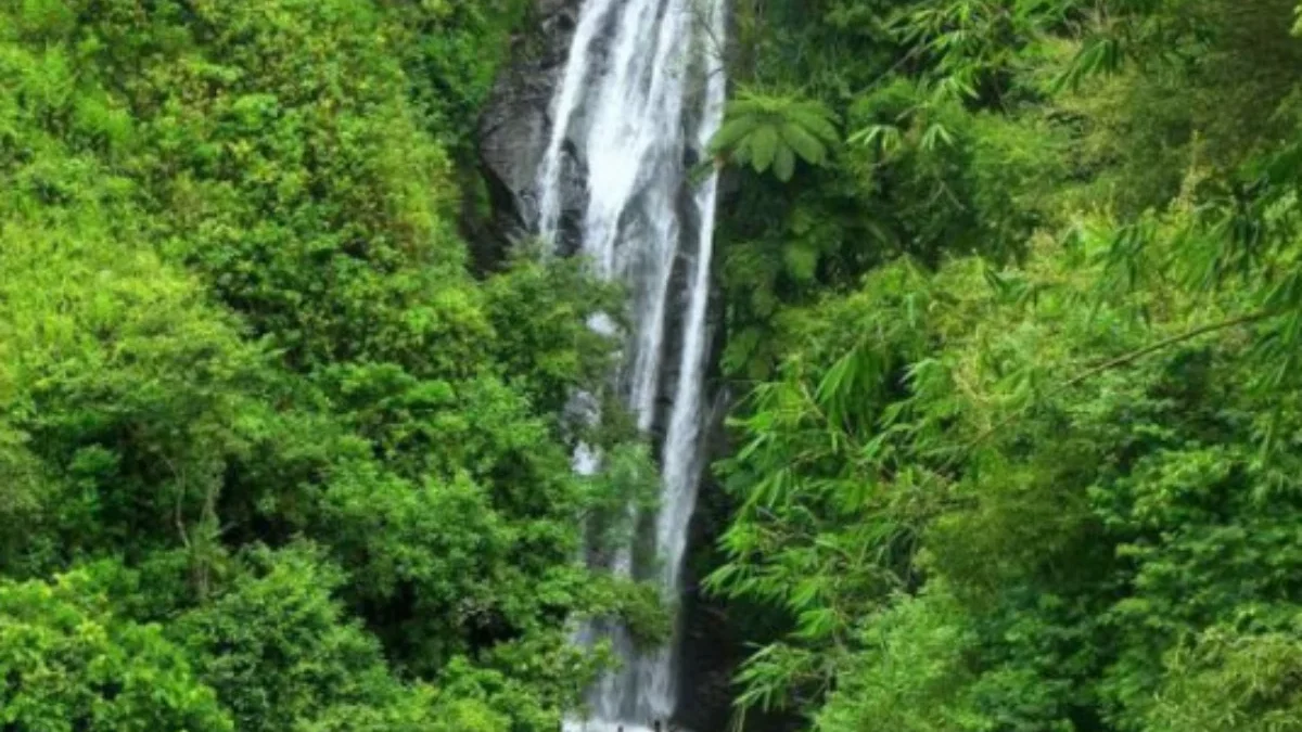 Menjelajahi Surga Tersembunyi: 7 Curug Terindah di Majalengka yang Wajib Dikunjungi