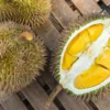 Surga Bagi Pecinta Durian, 5 Macam Hidangan Thailand Dengan Durian, Dijamin Membuat Kamu Ketagihan 