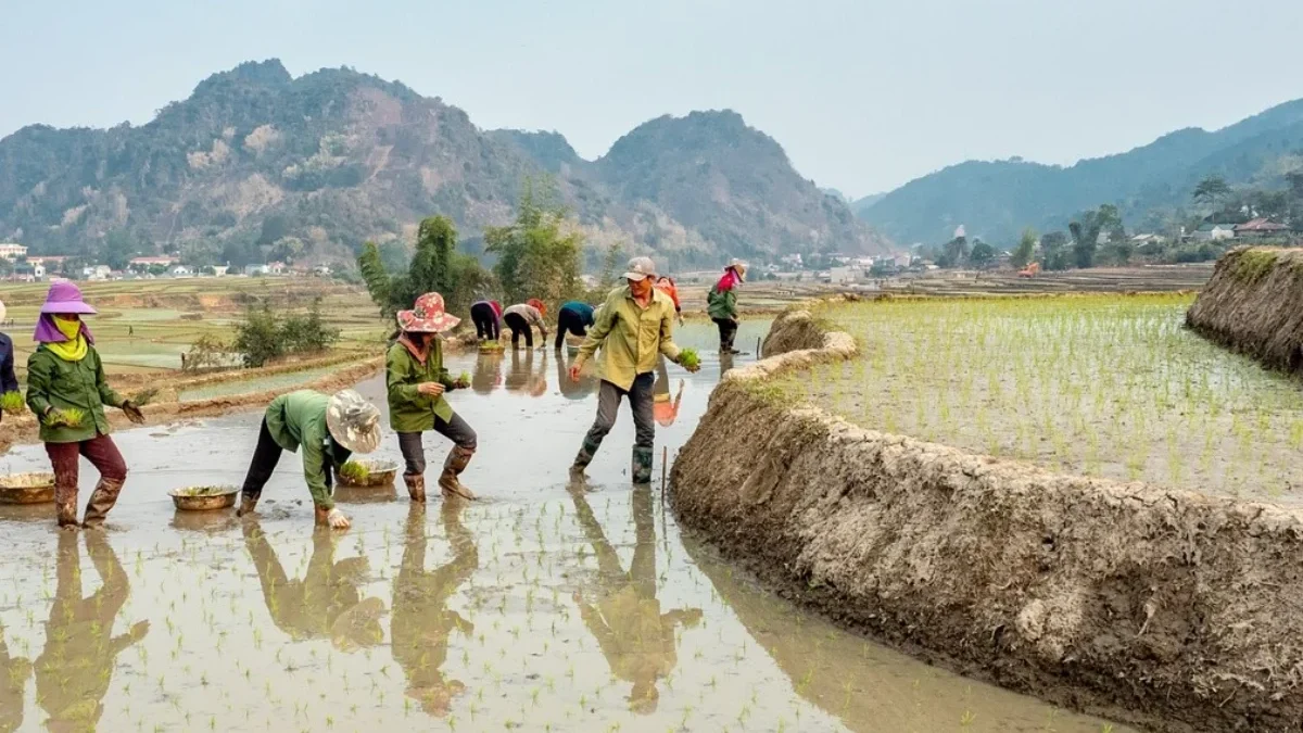 Cara Daftar Petani Milenial