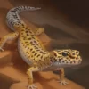 Kamu Punya Gecko Waspadalah dan Kenali, 5 Penyakit pada Gecko, Ternyata Dapat Dicegah 