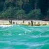 Apakah Kamu Berani Mengunjungi Pulau Ini, 5 Pulau Berbahaya di Dunia