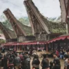 Fakta Menarik tentang Toraja Keindahan Budaya dan Alam yang Unik