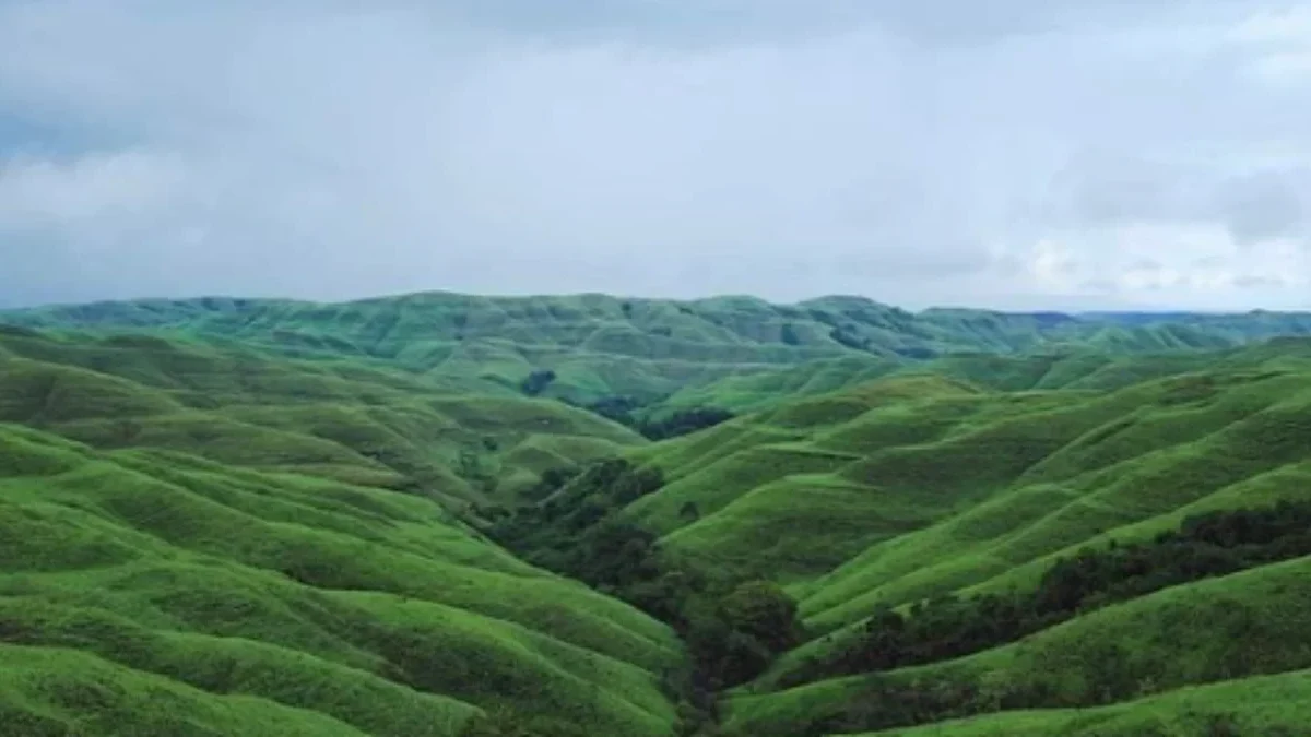 Destinasi Wisata Savana di Flores yang Mempesona