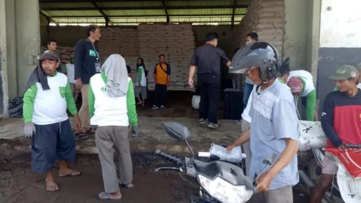 Kuota Pupuk untuk Kabupaten Majalengka Berkurang hingga Puluhan Ribu Ton, Penyebabnya Ternyata Ini