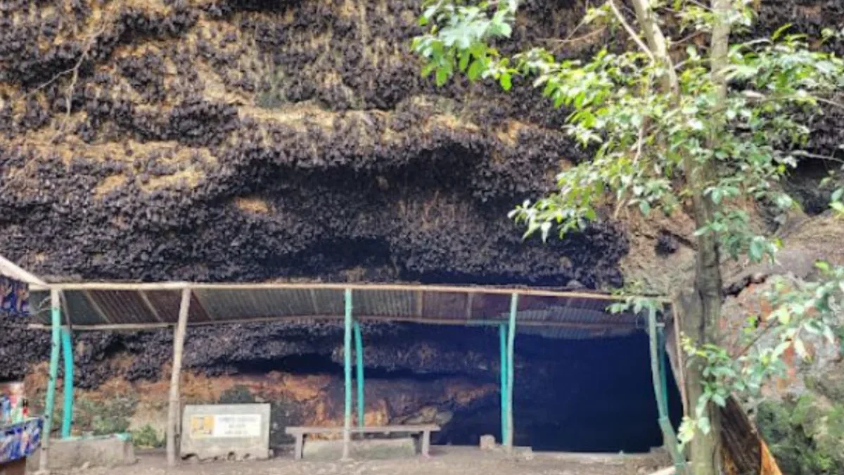 Misteri dan Keindahan Gua Ngerong, Destinasi Wisata Alam di Tuban Ramah Kantong