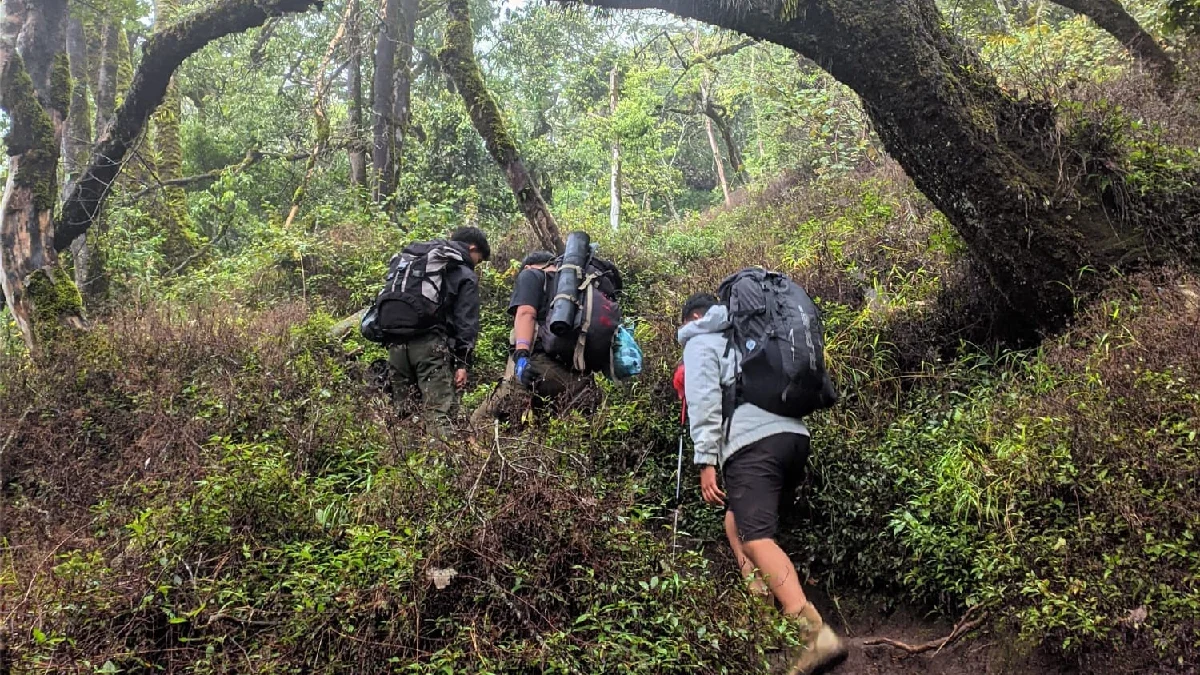 Harga Tiket Jadi Alasan Utama Pendakian Gunung Ciremai Turun Drastis