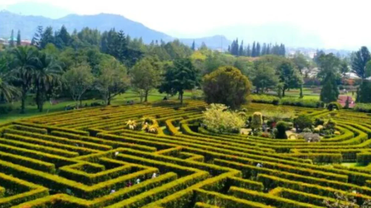 Rekomendasi Taman Bunga Cantik untuk Liburan Bersama Keluarga